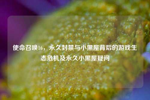 使命召唤16，永久封禁与小黑屋背后的游戏生态危机及永久小黑屋疑问