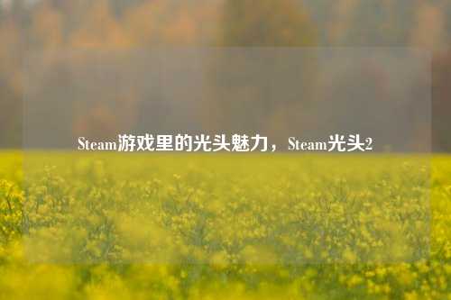 Steam游戏里的光头魅力，Steam光头2