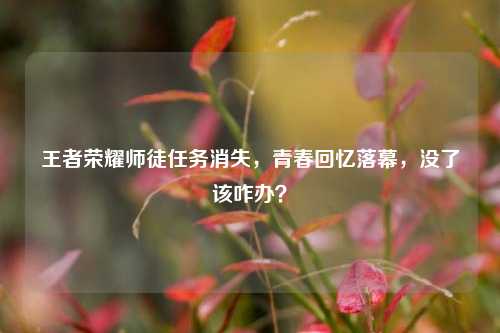 王者荣耀师徒任务消失，青春回忆落幕，没了该咋办？