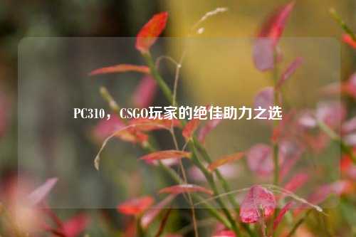 PC310，CSGO玩家的绝佳助力之选
