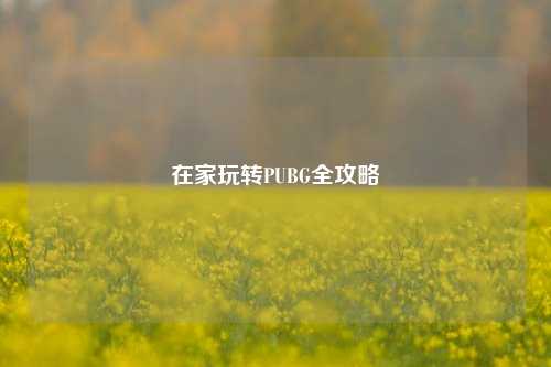 在家玩转PUBG全攻略
