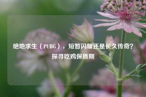 绝地求生（PUBG），短暂闪耀还是长久传奇？探寻吃鸡保质期