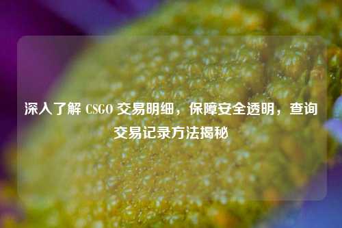 深入了解 CSGO 交易明细，保障安全透明，查询交易记录方法揭秘