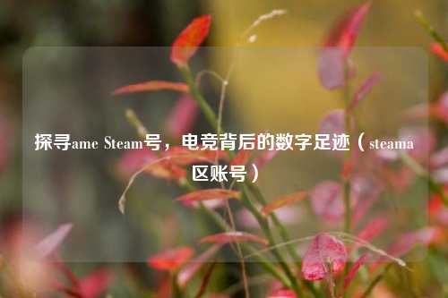 探寻ame Steam号，电竞背后的数字足迹（steama区账号）