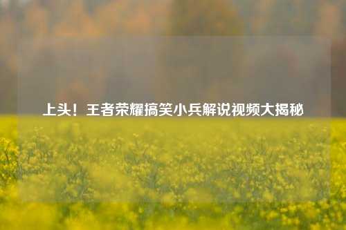 上头！王者荣耀搞笑小兵解说视频大揭秘