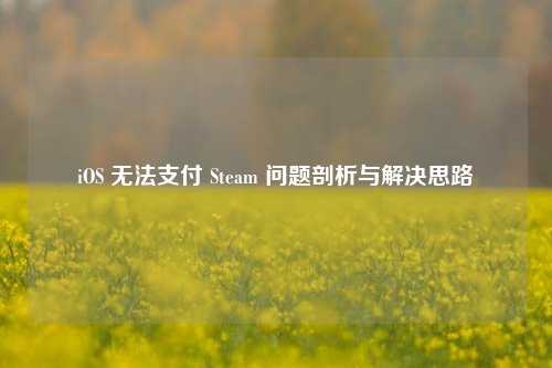 iOS 无法支付 Steam 问题剖析与解决思路