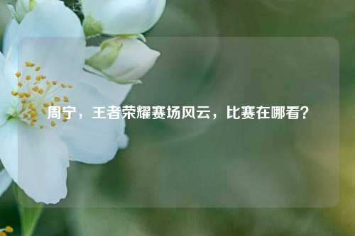 周宁，王者荣耀赛场风云，比赛在哪看？