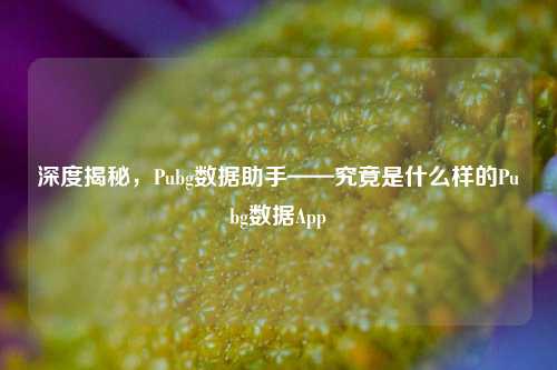 深度揭秘，Pubg数据助手——究竟是什么样的Pubg数据App