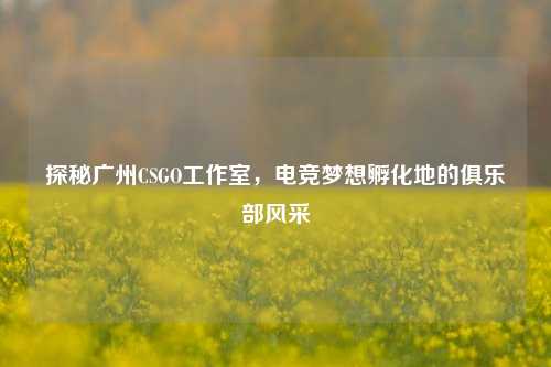 探秘广州CSGO工作室，电竞梦想孵化地的俱乐部风采