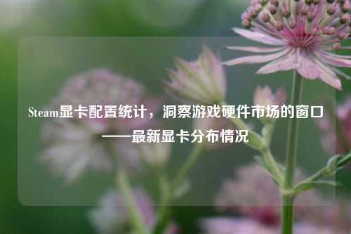 Steam显卡配置统计,洞察游戏硬件市场的窗口——最新显卡分布情况