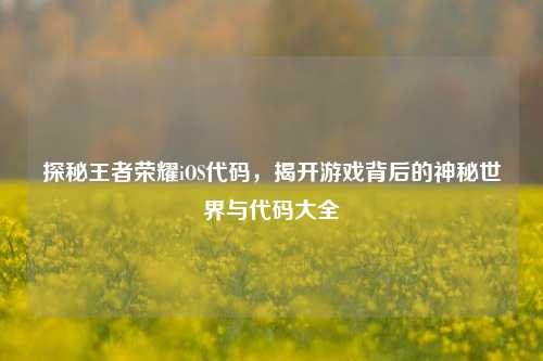 探秘王者荣耀iOS代码,揭开游戏背后的神秘世界与代码大全