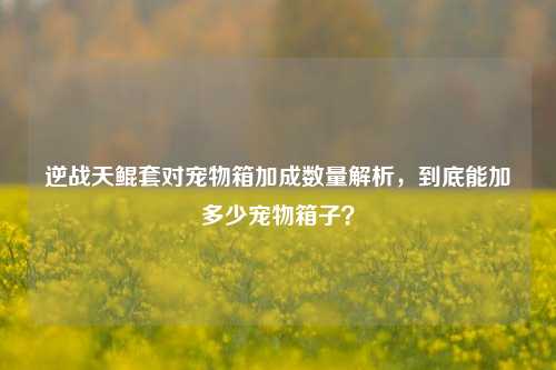 逆战天鲲套对宠物箱加成数量解析,到底能加多少宠物箱子?