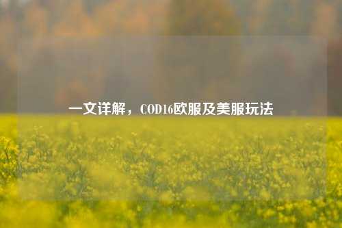 一文详解,COD16欧服及美服玩法