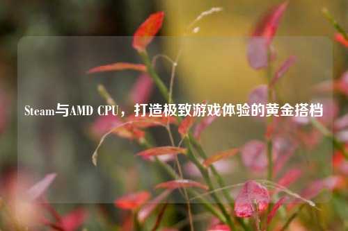 Steam与AMD CPU，打造极致游戏体验的黄金搭档