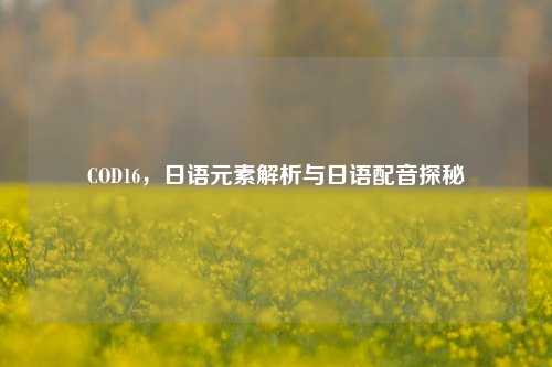 COD16，日语元素解析与日语配音探秘
