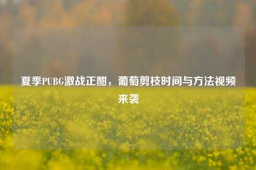 夏季PUBG激战正酣，葡萄剪枝时间与方法视频来袭