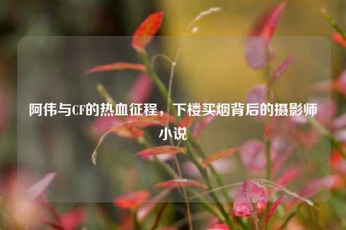 阿伟与CF的热血征程，下楼买烟背后的摄影师小说