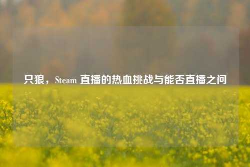 只狼，Steam 直播的热血挑战与能否直播之问