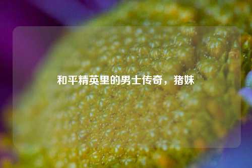 和平精英里的男士传奇，猪妹