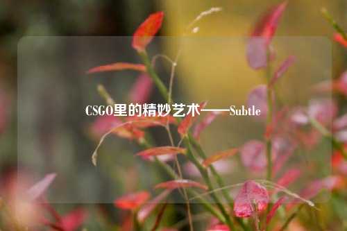 CSGO里的精妙艺术——Subtle