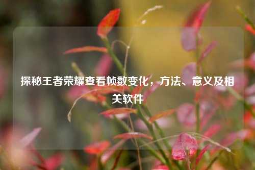 探秘王者荣耀查看帧数变化，方法、意义及相关软件