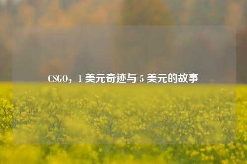 CSGO，1 美元奇迹与 5 美元的故事