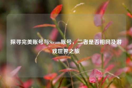 探寻完美账号与Steam账号，二者是否相同及游戏世界之旅