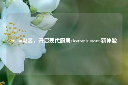 Steam电器，开启现代厨房electronic steam新体验