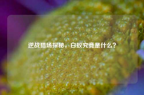逆战猎场探秘，白蚁究竟是什么？