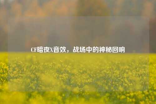CF暗夜X音效，战场中的神秘回响