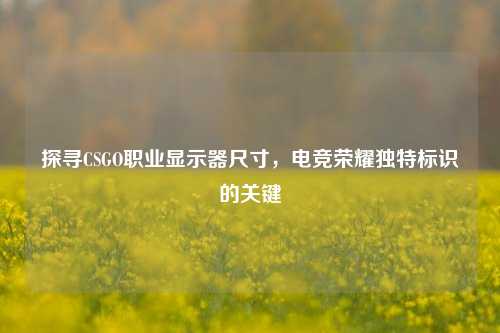 探寻CSGO职业显示器尺寸，电竞荣耀独特标识的关键