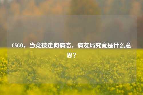 CSGO，当竞技走向病态，病友局究竟是什么意思？