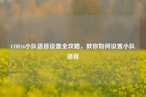 COD16小队语音设置全攻略，教你如何设置小队语音