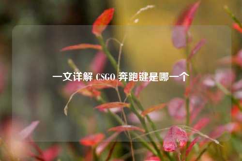 一文详解 CSGO 奔跑键是哪一个