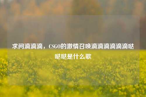 求问滴滴滴，CSGO的激情召唤滴滴滴滴滴滴哒哒哒是什么歌