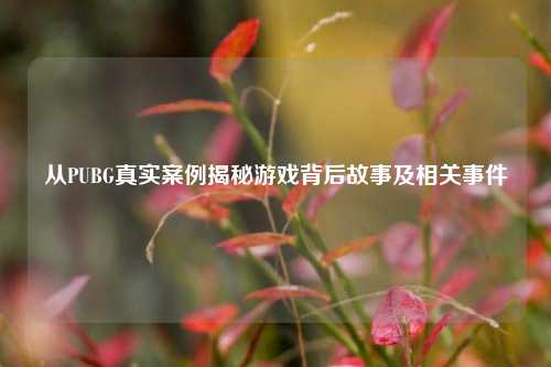 从PUBG真实案例揭秘游戏背后故事及相关事件