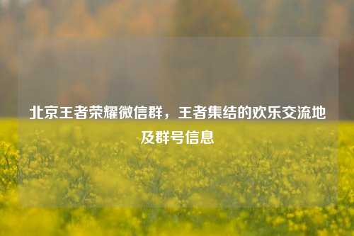 北京王者荣耀微信群，王者集结的欢乐交流地及群号信息