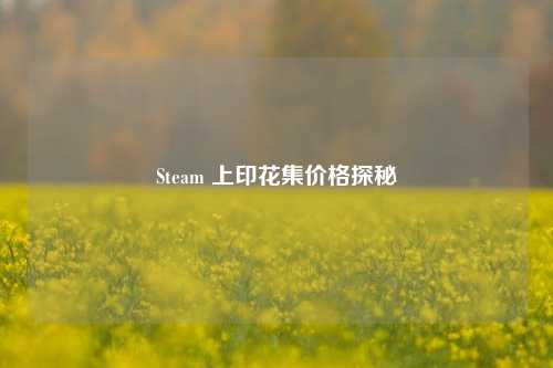 Steam 上印花集价格探秘