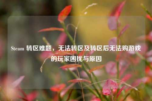 Steam 转区难题，无法转区及转区后无法购游戏的玩家困扰与原因
