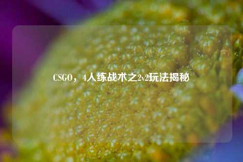 CSGO，4人练战术之2v2玩法揭秘