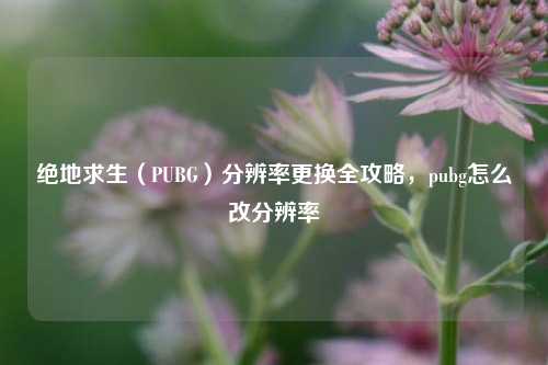 绝地求生（PUBG）分辨率更换全攻略，pubg怎么改分辨率