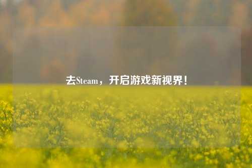 去Steam，开启游戏新视界！