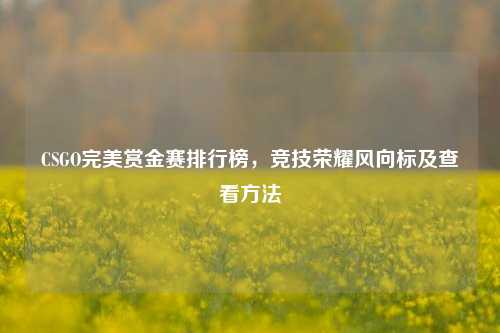 CSGO完美赏金赛排行榜，竞技荣耀风向标及查看方法