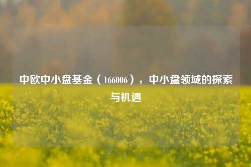 中欧中小盘基金（166006），中小盘领域的探索与机遇