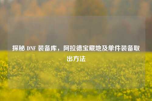探秘 DNF 装备库，阿拉德宝藏地及单件装备取出方法