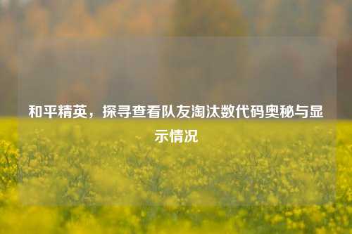 和平精英，探寻查看队友淘汰数代码奥秘与显示情况