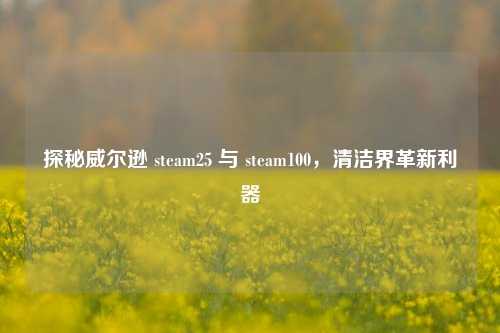 探秘威尔逊 steam25 与 steam100，清洁界革新利器