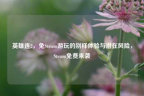 英雄连2,免Steam游玩的别样体验与潜在风险,Steam免费来袭