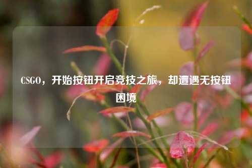 CSGO，开始按钮开启竞技之旅，却遭遇无按钮困境