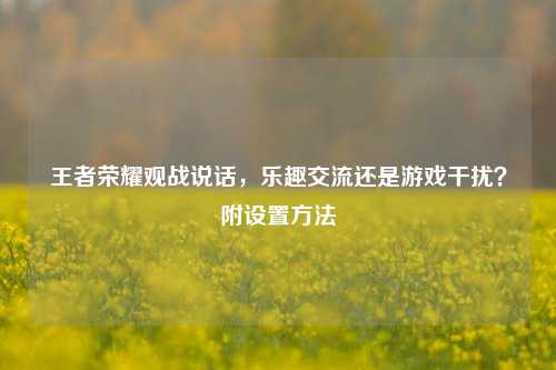 王者荣耀观战说话，乐趣交流还是游戏干扰？附设置方法